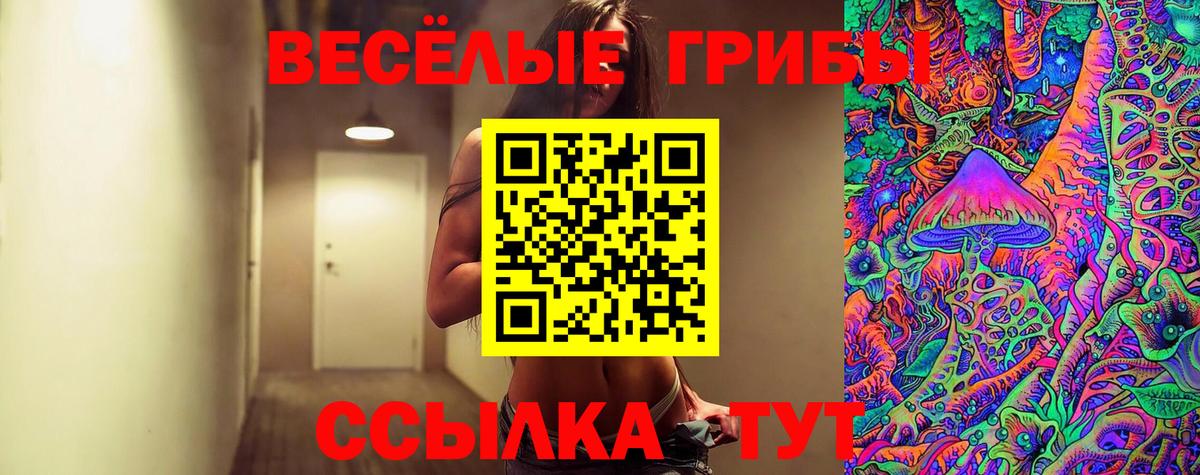 Псилоцибиновые грибы Cubensis Каспийск